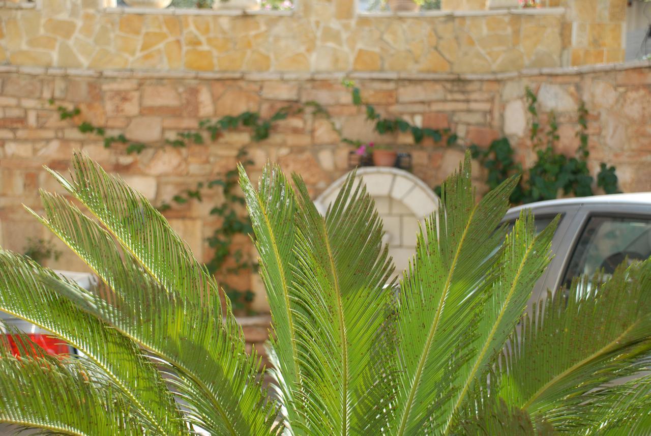 فندق Olive Tree ساراندا المظهر الخارجي الصورة